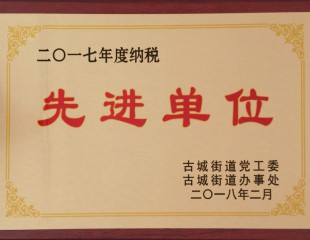 2017年度納稅先 進(jìn)單位